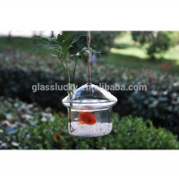 Home decor ashtrays indoor original shaped clear slant glass plant terrarium