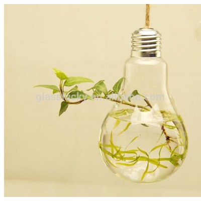 Glass Light Bulb Succulent Terrarium Kit Air Planter Terrarium For Housewarming Gift