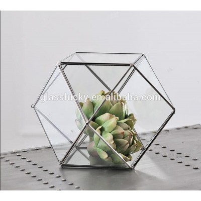 wholesale glass terrarium geometric for succulents