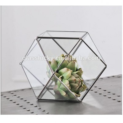 Hot selling wholesale indoor plant rose gold glass terrarium geometric